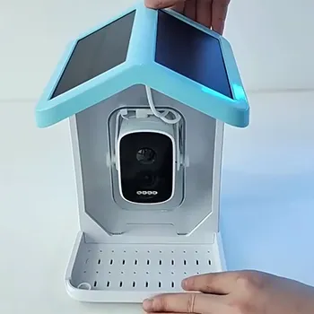 ChirpyCharm user Martha M.